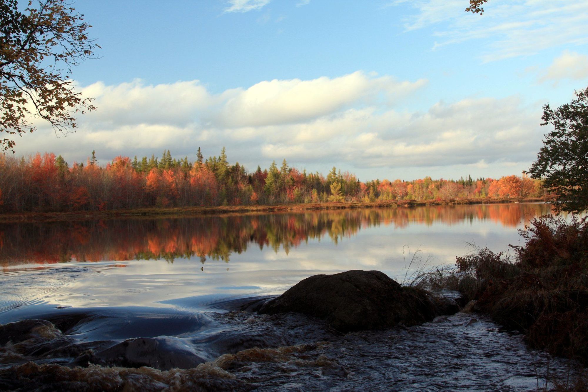 Trout Point Lodge Of Nova Scotia East Kemptville Servizi foto