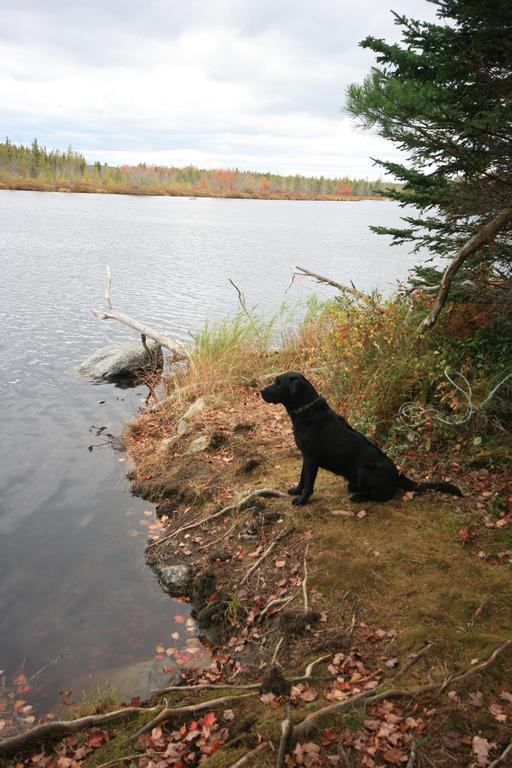 Trout Point Lodge Of Nova Scotia East Kemptville Esterno foto